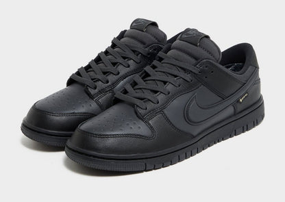 Nike Dunk Low GORE-TEX